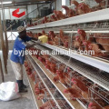 Chicken Cage For Poultry Farm With 96/120/128/160 Birds Capacity